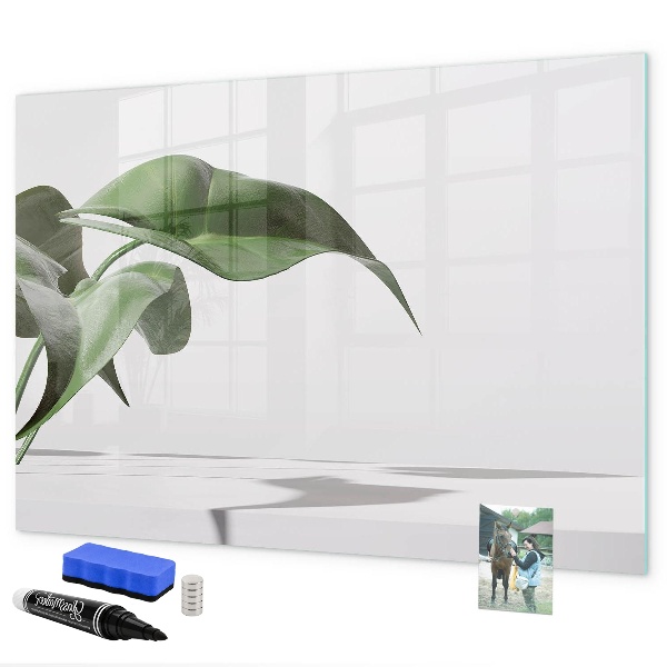 Pizarra magnética de pared con rotulador Plantas y recuerdos en la pared