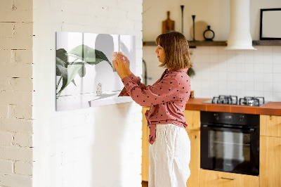 Pizarra magnética de pared con rotulador Plantas y recuerdos en la pared