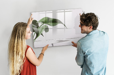 Pizarra magnética de pared con rotulador Plantas y recuerdos en la pared