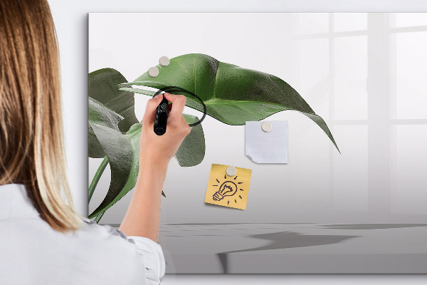 Pizarra magnética de pared con rotulador Plantas y recuerdos en la pared