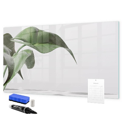 Pizarra magnética de pared con rotulador Plantas y recuerdos en la pared