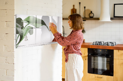 Pizarra magnética de pared con rotulador Plantas y recuerdos en la pared