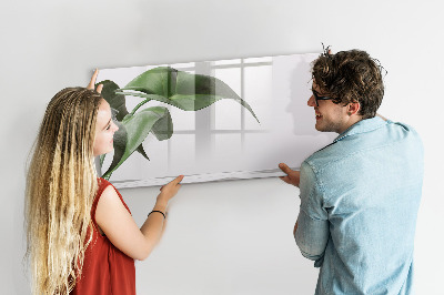 Pizarra magnética de pared con rotulador Plantas y recuerdos en la pared