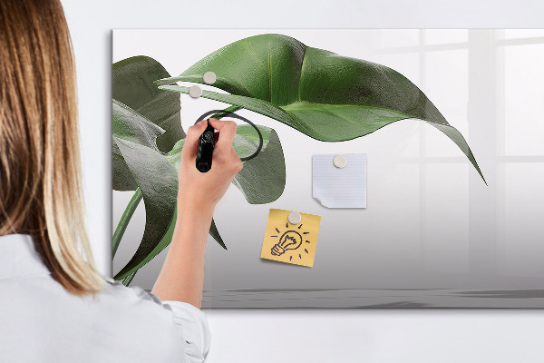 Pizarra magnética de pared con rotulador Plantas y recuerdos en la pared