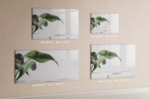 Pizarra magnética de pared con rotulador Plantas y recuerdos en la pared