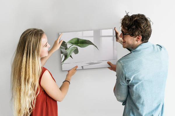 Pizarra magnética de pared con rotulador Plantas y recuerdos en la pared