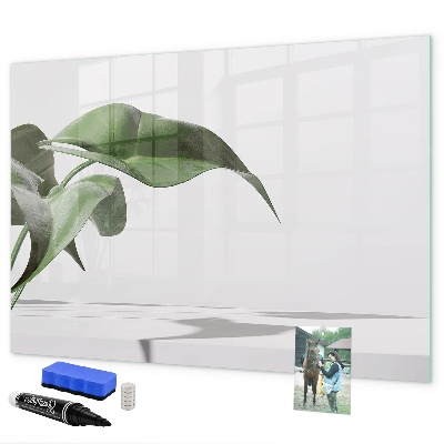 Pizarra magnética de pared con rotulador Plantas y recuerdos en la pared
