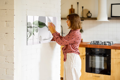 Pizarra magnética de pared con rotulador Plantas y recuerdos en la pared