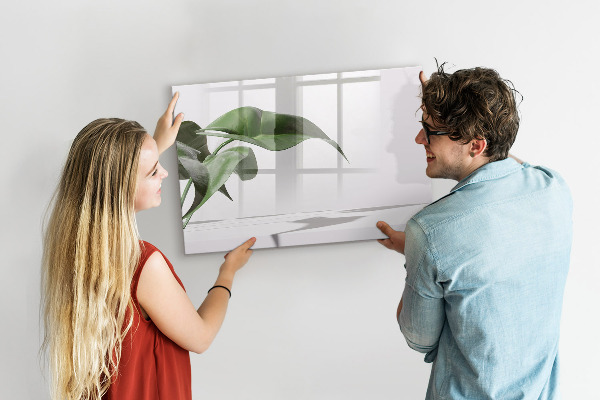 Pizarra magnética de pared con rotulador Plantas y recuerdos en la pared
