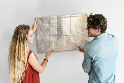 Pizarra borrable de cristal con imanes Un elegante tablero para notas y fotos.