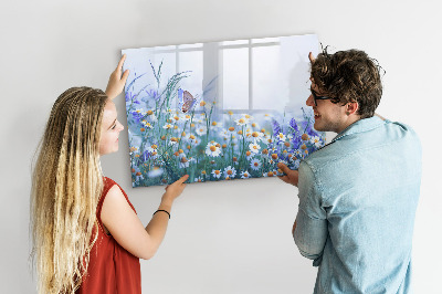 Pizarra borrable de cristal con imanes Un espacio creativo para recuerdos y fotos.