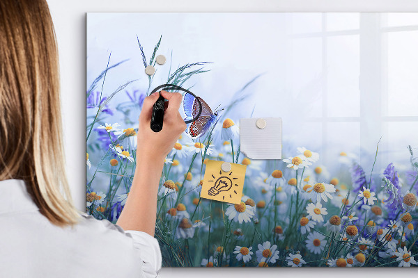 Pizarra borrable de cristal con imanes Un espacio creativo para recuerdos y fotos.