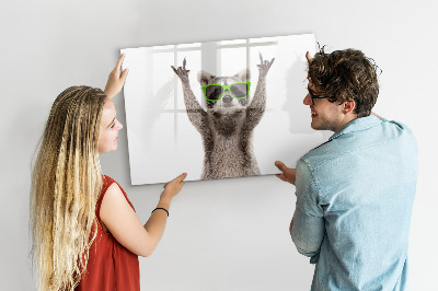 Pizarra magnética de pared con rotulador Mapache feliz con fotos