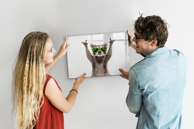 Pizarra magnética de pared con rotulador Mapache feliz con fotos