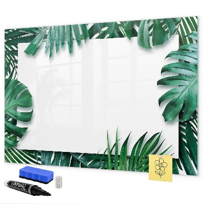 Pizarra borrable de cristal con imanes Tablero verde para fotos y notas.