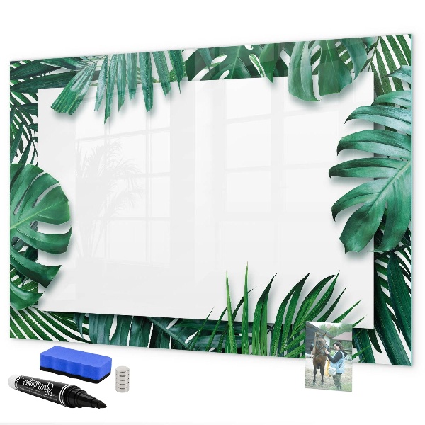 Pizarra borrable de cristal con imanes Tablero verde para fotos y notas.