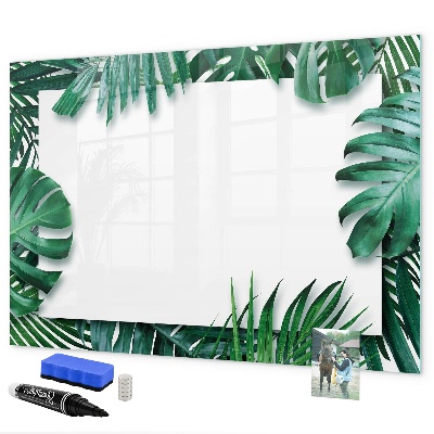 Pizarra borrable de cristal con imanes Tablero verde para fotos y notas.