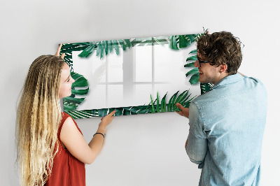 Pizarra borrable de cristal con imanes Tablero verde para fotos y notas.