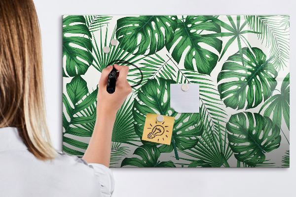 Pizarra magnética de pared con rotulador Tablero verde para fotos y notas.