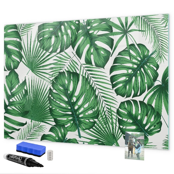 Pizarra magnética de pared con rotulador Tablero verde para fotos y notas.