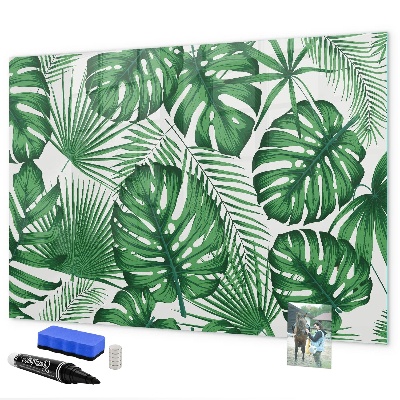 Pizarra magnética de pared con rotulador Tablero verde para fotos y notas.