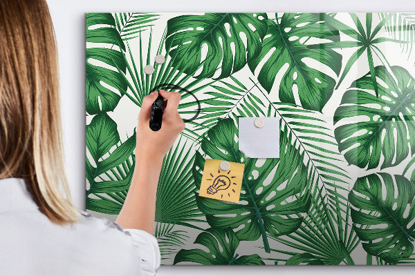Pizarra magnética de pared con rotulador Tablero verde para fotos y notas.