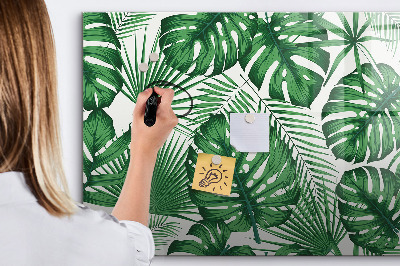 Pizarra magnética de pared con rotulador Tablero verde para fotos y notas.