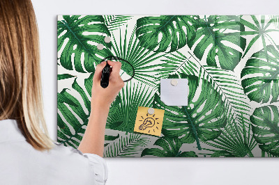 Pizarra magnética de pared con rotulador Tablero verde para fotos y notas.
