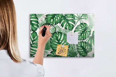 Pizarra magnética de pared con rotulador Tablero verde para fotos y notas.
