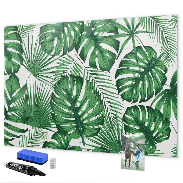 Pizarra magnética de pared con rotulador Tablero verde para fotos y notas.