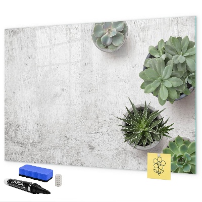 Pizarra borrable de cristal con imanes Un elegante tablero para presentar fotos.