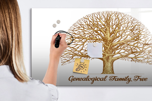 Pizarra borrable de cristal con imanes Árbol genealógico con espacio para fotos