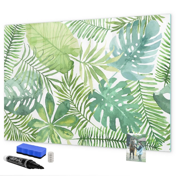 Pizarra magnética de pared con rotulador Tablero verde para fotos y notas.