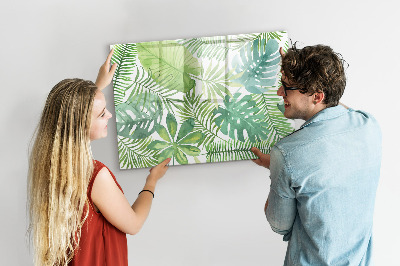 Pizarra magnética de pared con rotulador Tablero verde para fotos y notas.