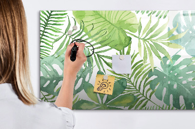 Pizarra magnética de pared con rotulador Tablero verde para fotos y notas.