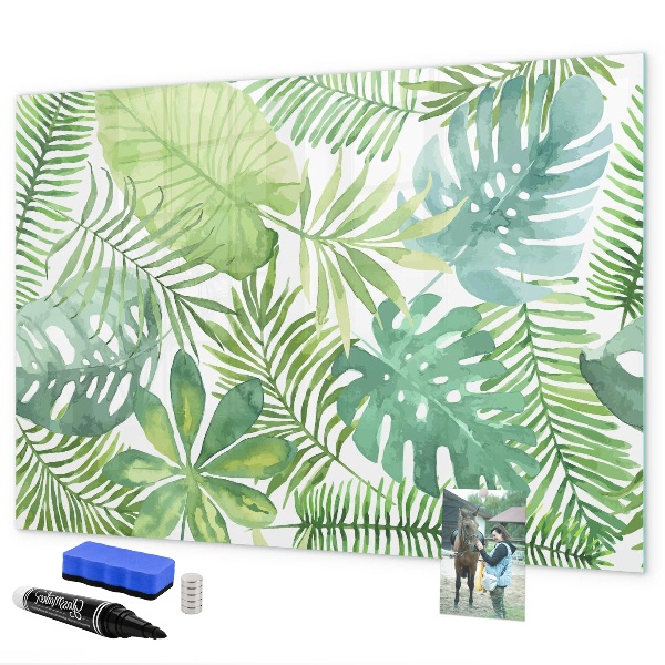 Pizarra magnética de pared con rotulador Tablero verde para fotos y notas.