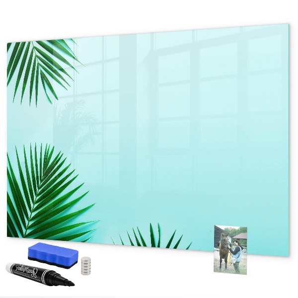 Pizarra magnética de pared con rotulador Póster verde para fotos y notas