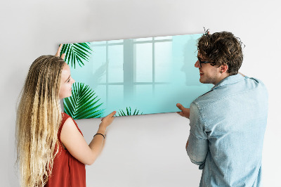 Pizarra magnética de pared con rotulador Póster verde para fotos y notas