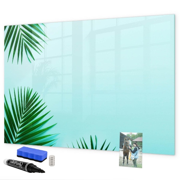 Pizarra magnética de pared con rotulador Póster verde para fotos y notas