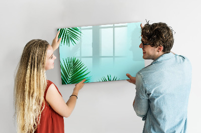 Pizarra magnética de pared con rotulador Póster verde para fotos y notas