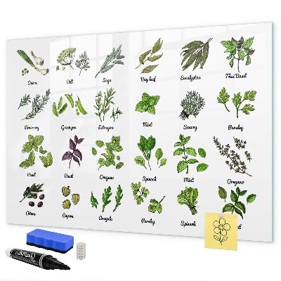 Pizarra magnética de pared con rotulador Hierbas y fotos en un mismo lugar.