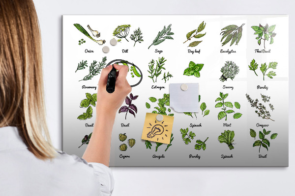 Pizarra magnética de pared con rotulador Hierbas y fotos en un mismo lugar.