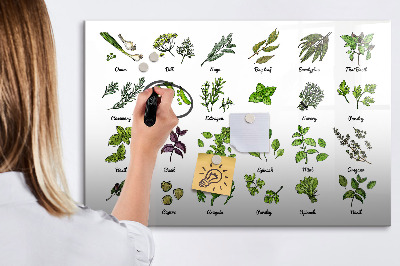 Pizarra magnética de pared con rotulador Hierbas y fotos en un mismo lugar.
