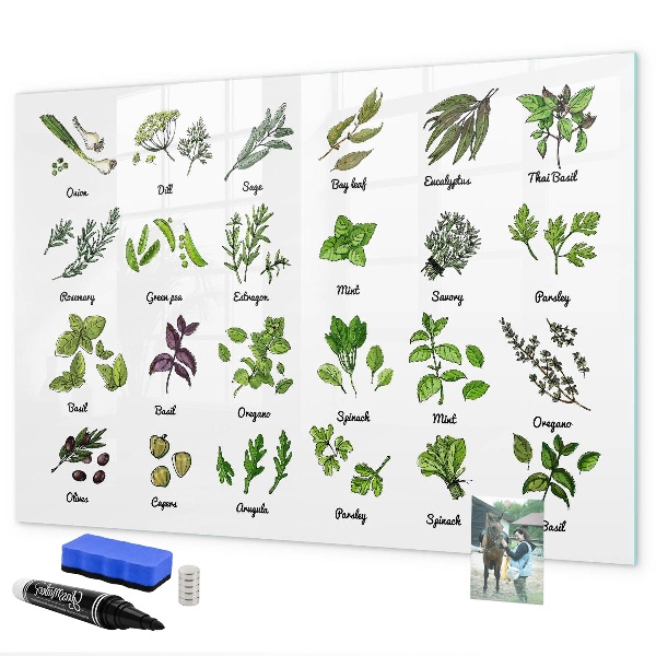 Pizarra magnética de pared con rotulador Hierbas y fotos en un mismo lugar.