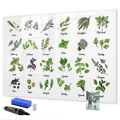 Pizarra magnética de pared con rotulador Hierbas y fotos en un mismo lugar.