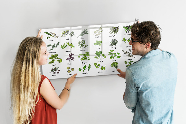 Pizarra magnética de pared con rotulador Hierbas y fotos en un mismo lugar.