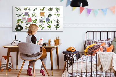 Pizarra magnética de pared con rotulador Hierbas y fotos en un mismo lugar.