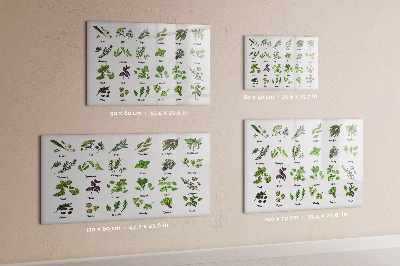 Pizarra magnética de pared con rotulador Hierbas y fotos en un mismo lugar.