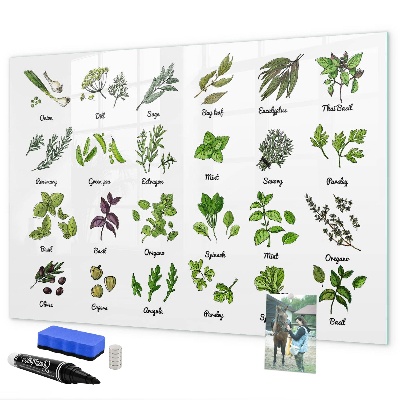Pizarra magnética de pared con rotulador Hierbas y fotos en un mismo lugar.