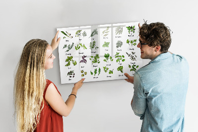 Pizarra magnética de pared con rotulador Hierbas y fotos en un mismo lugar.